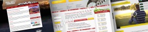 Wed designer mockups of homepages.