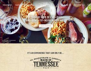 New 2017 homepage for Tennessee Vacations.