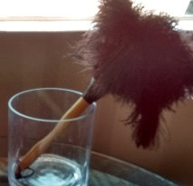 feather duster