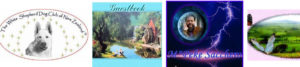 History of the Internet: Web Ring images from many years ago. Icky.